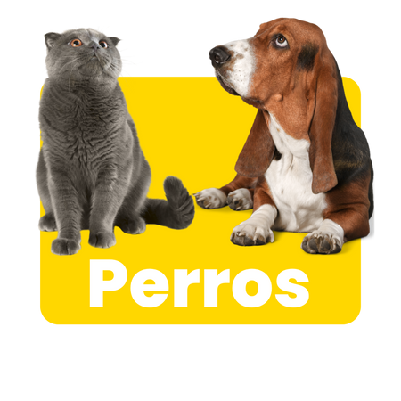 Perros